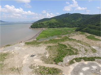 通航影响专题论证报告-220kV鱼山输变电工程（马目－大鱼山海缆部分）